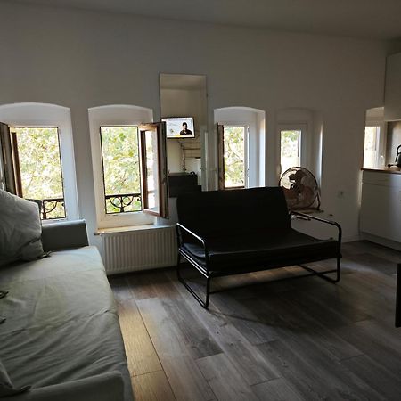 Gruenes Idyll Im Herzen Koelns Buitenkant foto